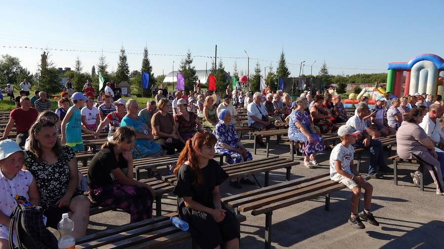 В Новопанске состоялся День любимого села